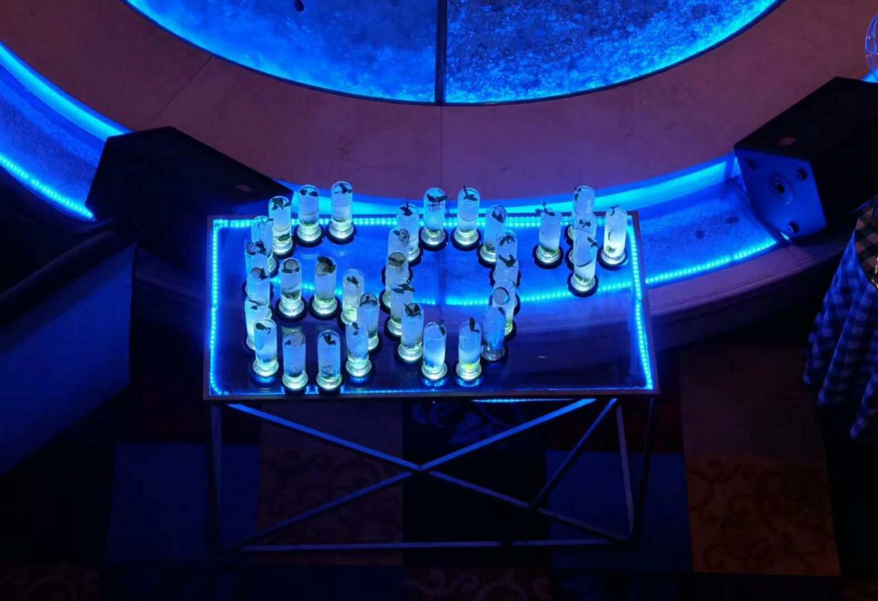 Ramada Plaza Optics Valley Hotel Wuhan  Bagian luar foto
